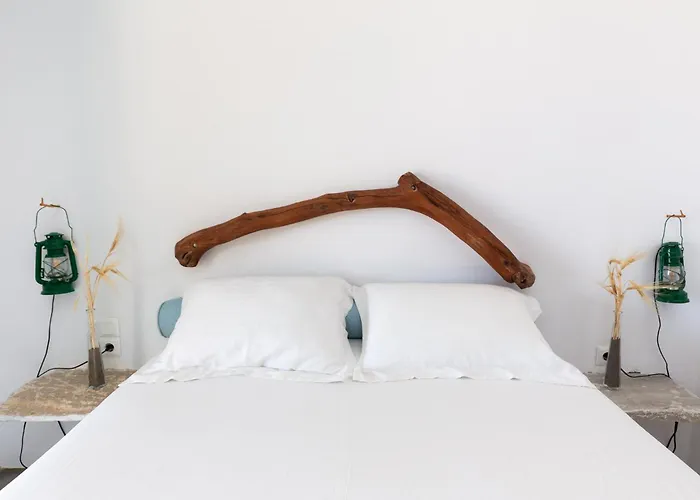 Ailouros Scenic 度假居 Schoinoussa